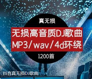 抖音真无损DJ歌曲