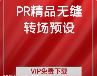 PR精品无缝转场预设