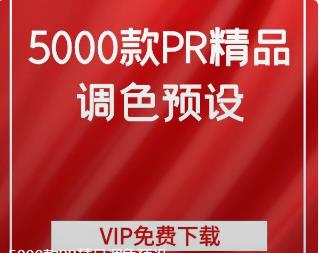 5000款PR精品调色预设