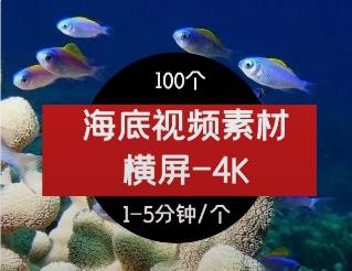 海底风景视频素材