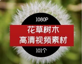 花草树木高清视频素材01