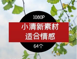 小清新视频素材-2