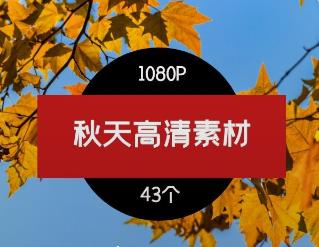 秋天+落叶树木高清风景素材-3