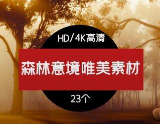 聚蚁思维-商业思维电视剧涨粉套路