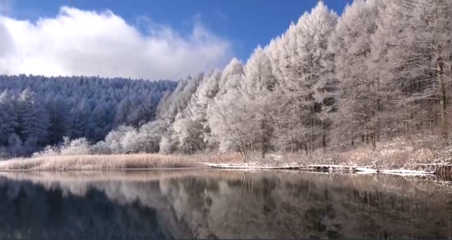 高清4K雪景视频素材04(图1)