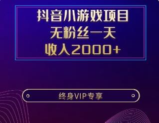 抖音小游戏项目，无粉丝一天收入2000+