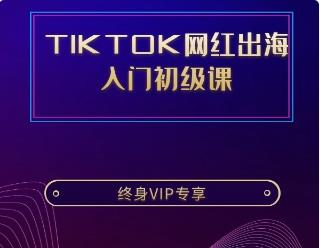 TIKTOK网红出海 入门初级课