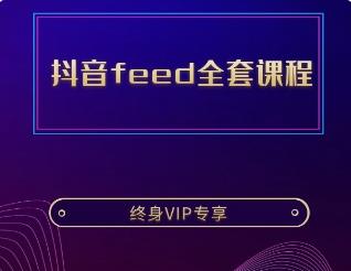 feed全套课程
