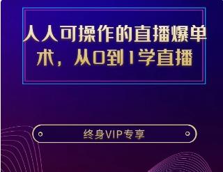 人人可操作的直播爆单术，抓住最后半年直播红利！